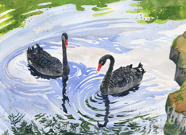 Black Swans